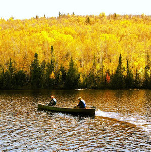 Meet your Posher, Thomas